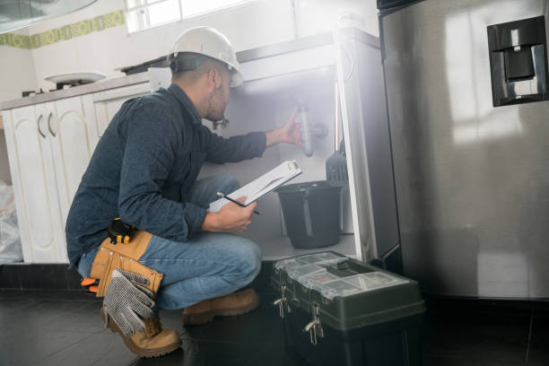 Best Drain Cleaning Services  in Lan, MI