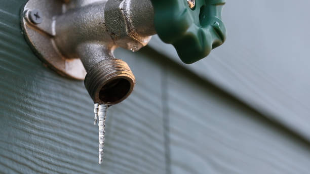 Best Shower Repair Services  in Lan, MI